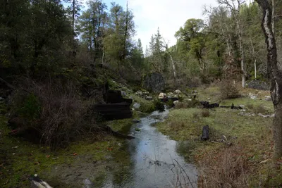 DSC_0902 (Large).JPG